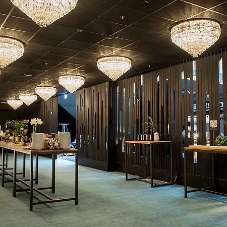 麗笙藍標飯店 - 斯堪的納維亞 